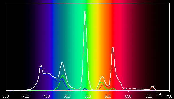 Spectrum