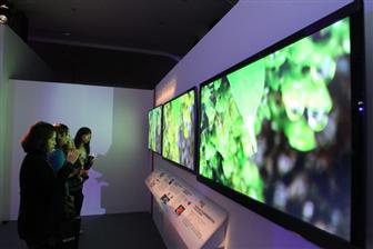 TV backlight