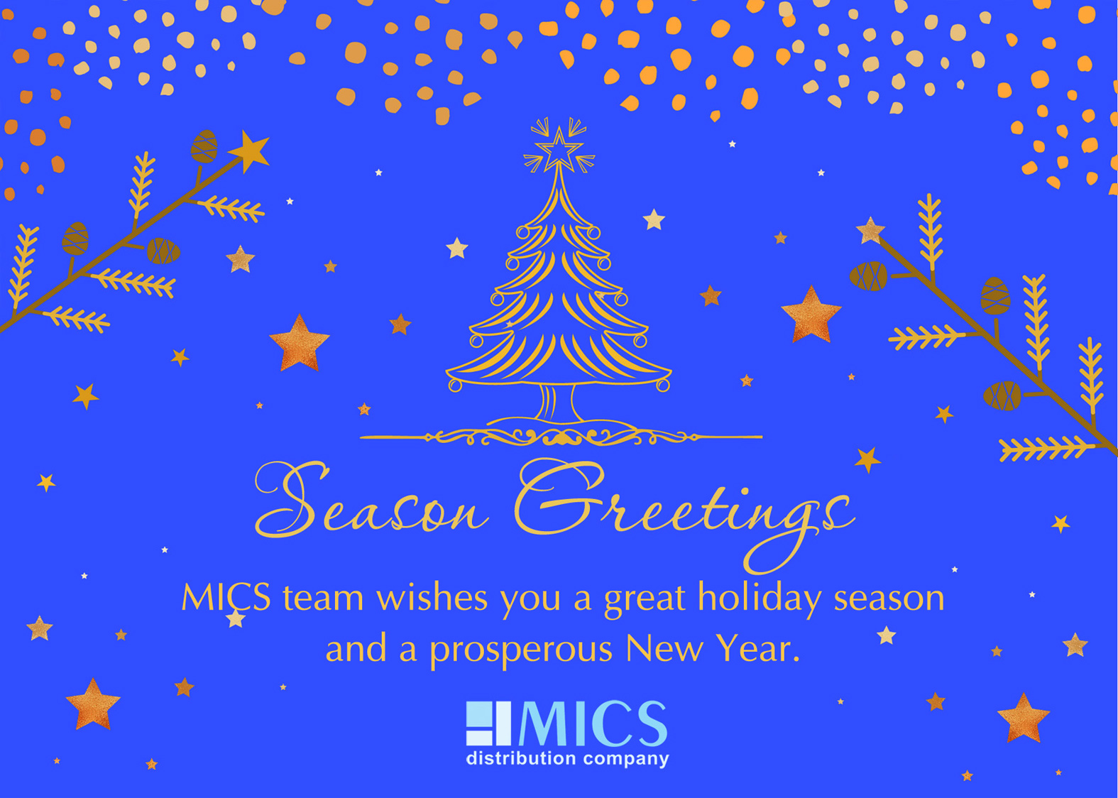 NY_MICS_card_eng_2